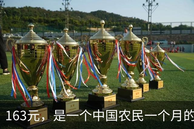 163元，是一个中国农民一个月的全部尊严和保障吗？